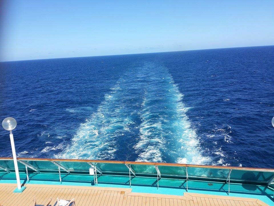 15267871_1556078321072680_625296682051395754_n