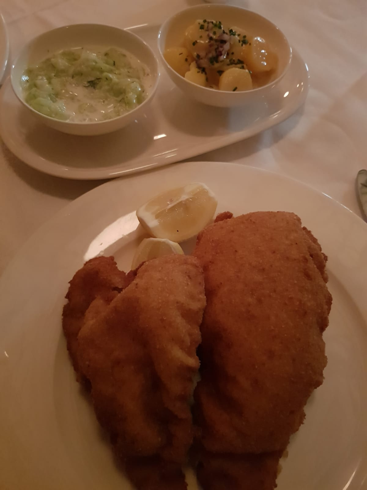 Restaurante em Vienna – Austria para comer Schnitzel /  Restaurant in Vienna – Austria to eat Schnitzel /